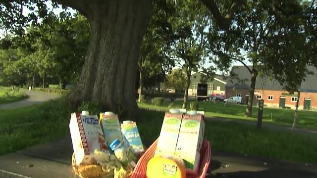 Melkveehouderij Krol in Hengstdijk смотреть онлайн