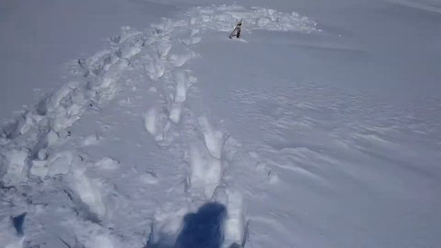 Озеро Тунайча. Селедка. Хаябуса (Hayabusa) рулит. смотреть онлайн