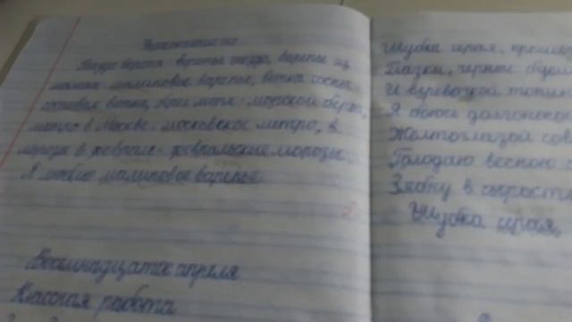 Обзор оценок в тетради смотреть онлайн
