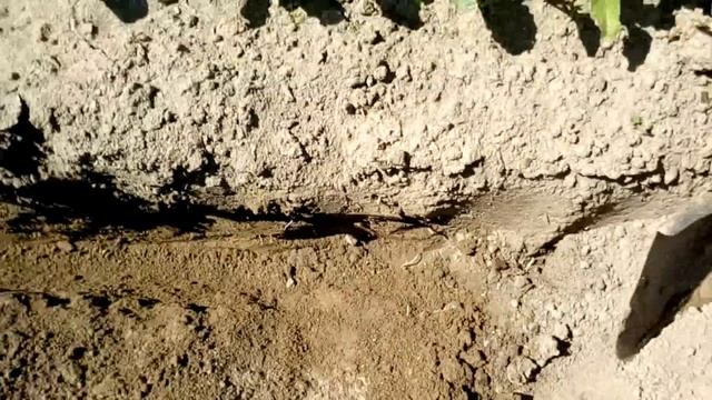 СтройКонструктор