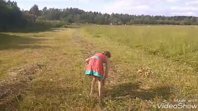 Сенокос для кроликов! смотреть онлайн