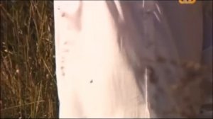 Как был убит Лермонтов?