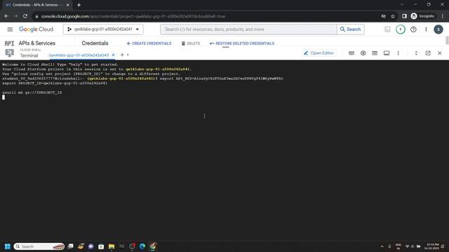 Detect Labels, Faces, and Landmarks in Images with the Cloud Vision API || [GSP037] || Updated смотреть онлайн