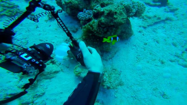 Дахаб, Египет, Каньон, Голубая дыра, Dahab, Egypt, Canyon, Blue hole смотреть онлайн