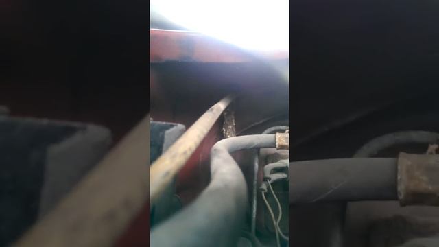 Мыш повесилась!!!!!!!! В авто! смотреть онлайн