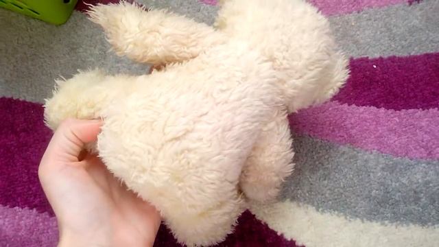 Какие вещи мне передали при покупке второй собаки? Что купила? смотреть онлайн