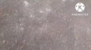 Тест универсальных ключей