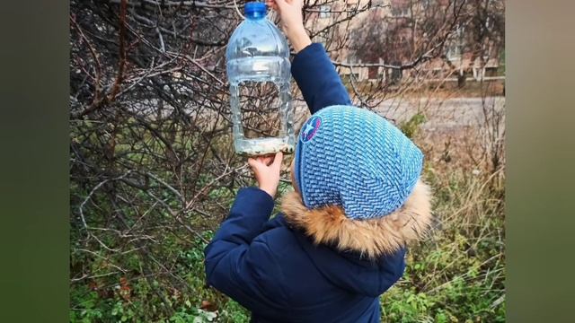 Кормушка для птиц. Твори добро. смотреть онлайн