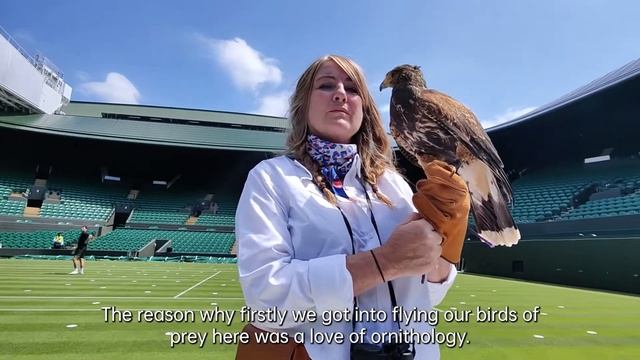 Falconer’s Story | Beyond Performance#Wimbledon смотреть онлайн