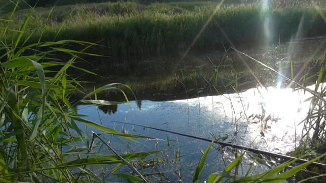 РЫБАЛКА В реке много травы #Карась клюёт! Как поймать карася! смотреть онлайн
