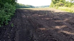 Minelab X-Terra Pro экстремальный коп в лесу. Первая часть.