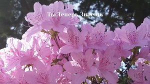 Запреты на 9 Мая. Что нельзя делать. Народные приметы