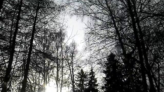 Страшные кадры автомобиля Пежо 308 Peugeot 308SW смотреть онлайн