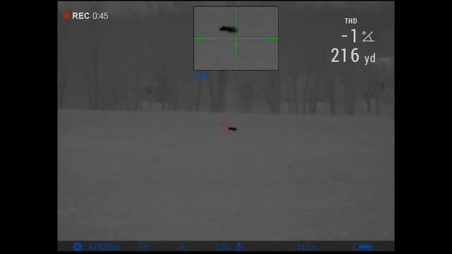 Pulsar Trail 2 XQ LRF Savage 11 22-250 SilencerCo Omega 300 Hornady 50gr V-Max смотреть онлайн