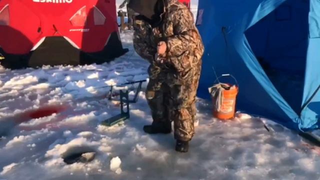 Ловим Сига 2 Ice Fishing (White Fish) смотреть онлайн