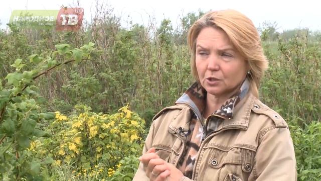 Дачная жизнь от 27.06.2016 смотреть онлайн