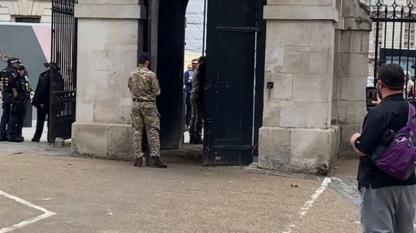 Queen’s Guard Horse Goes Crazy