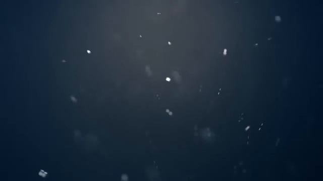 TOP 10 Intro Template #1 C4D,AfterEffects + Free Download смотреть онлайн