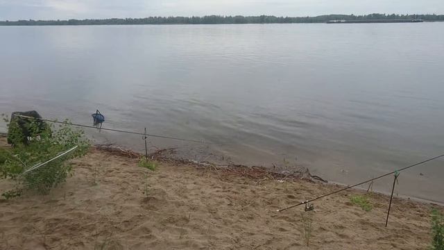 Волга, Ахтубинск смотреть онлайн