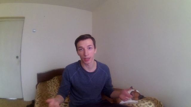 КАК ПРАВИЛЬНО ПОКУПАТЬ ЩЕНКА АМСТАФФА смотреть онлайн