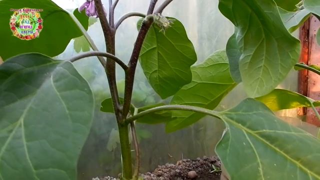 Строительная Галерея