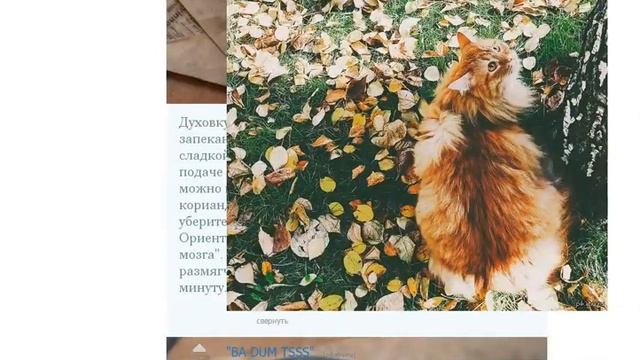 Когда сломался сайт смотреть онлайн