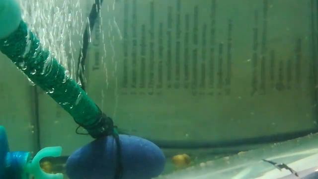 МАЛЕК ДАНИО смотреть онлайн