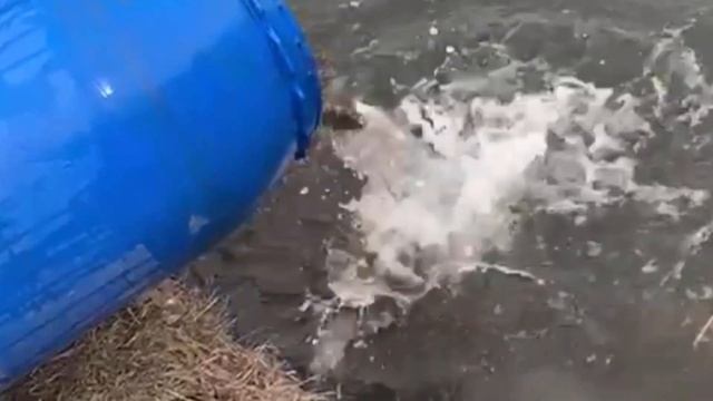 Когда шикарная инициатива становится реальностью смотреть онлайн