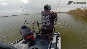 Улётная рыбалка, сазан, судак, жерех раздача по полной. Вышка, Банк Бахтемир. 05 ноября 2022