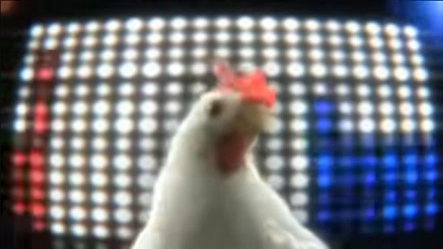Музыка куриц Chicken Music😂