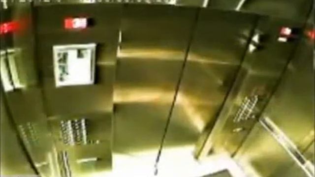 бедная собака смотреть онлайн