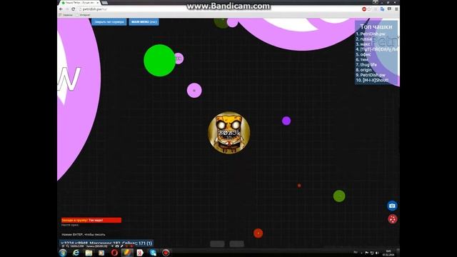 Как сделать фон черным в петри диш?