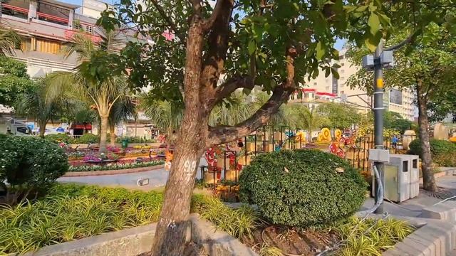 Вьетнамский Новый Год и последние сплетни о международном туризме смотреть онлайн