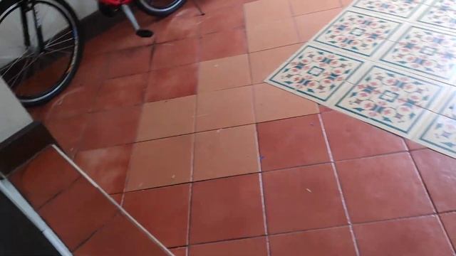 Forelorn felines family feeding frenzy (well, not a frenzy) смотреть онлайн