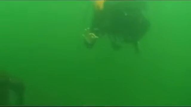 Дайвинг, выезд в Тверь 30.07.2011 смотреть онлайн