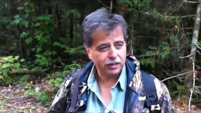 The Bigfoot Quest смотреть онлайн