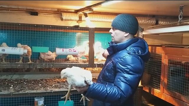 Чиктоник больше не нужен. Жаль что я раньше не знал про это средство. смотреть онлайн