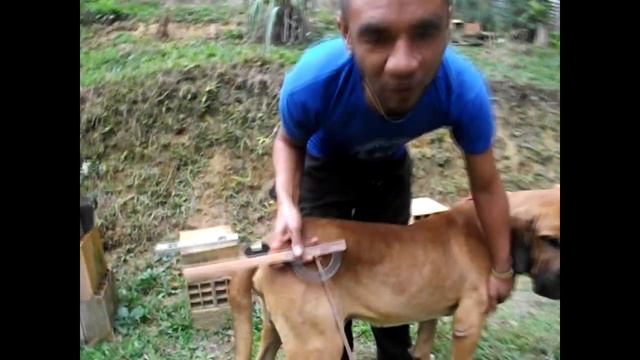 FILA BRASILEIRO estudos e observações TREM TRASEIRO #filabrasileiro смотреть онлайн