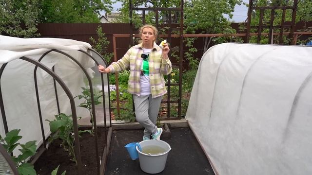 Очистка и благотворение