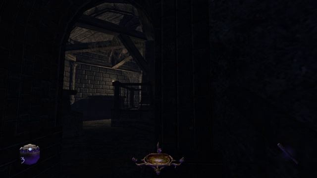 Thief: Deadly Shadows: Нужно со всем этим кончать!