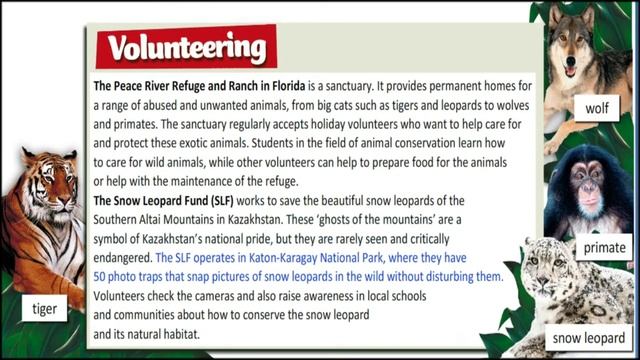 Volunteering excel 9th grade page 49 смотреть онлайн