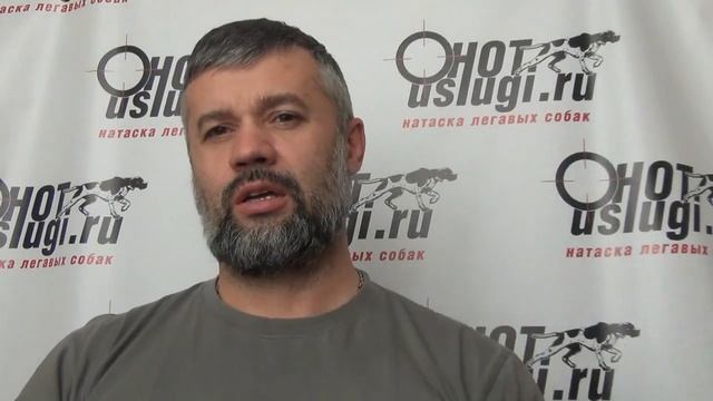 Вечная консультация от Сливчикова Б.А. смотреть онлайн