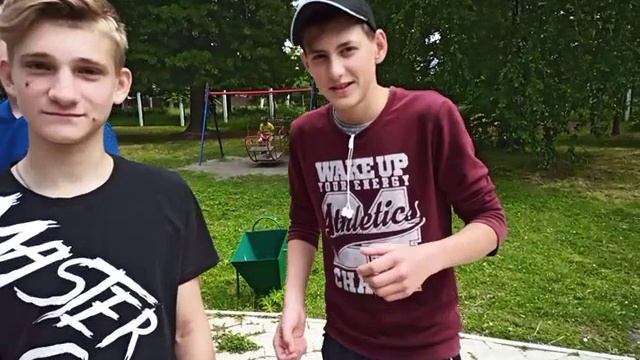 Подсолнух SunFlower