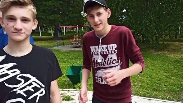 Подсолнух SunFlower