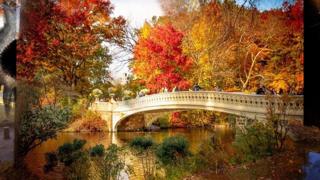 Осенний лист//В стиле Шопена (осенняя мелодия, фортепиано, грусть) смотреть онлайн