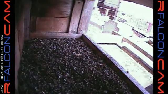 Camera 3 - 02/28/16 смотреть онлайн