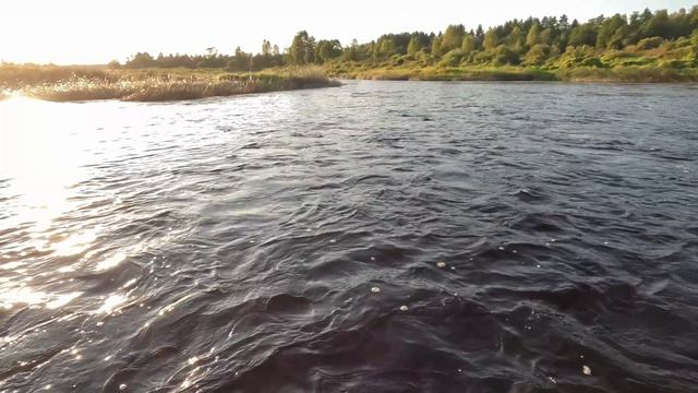 По реке Межа ➡ Западная Двина ➡ Велиж. Вечер.⛴ смотреть онлайн