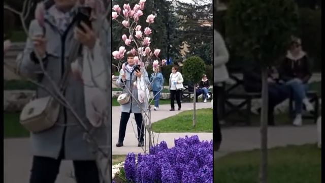 ПАРК ЦВЕТНИК в Пятигорске #кма #городароссии смотреть онлайн