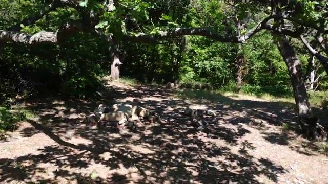 Большой Утриш и его природа, вторая лагуна на Утрише, Кемпинг отдых на черном море, заповедник смотреть онлайн