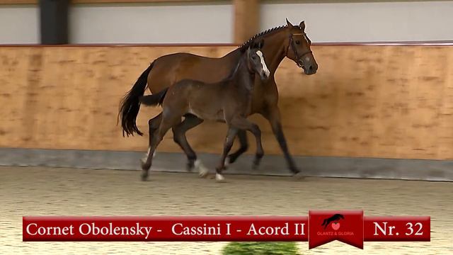 32. Cornet Obolensky - Cassini I смотреть онлайн